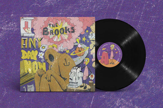 The Brooks - Any Day Now (double vinyle)