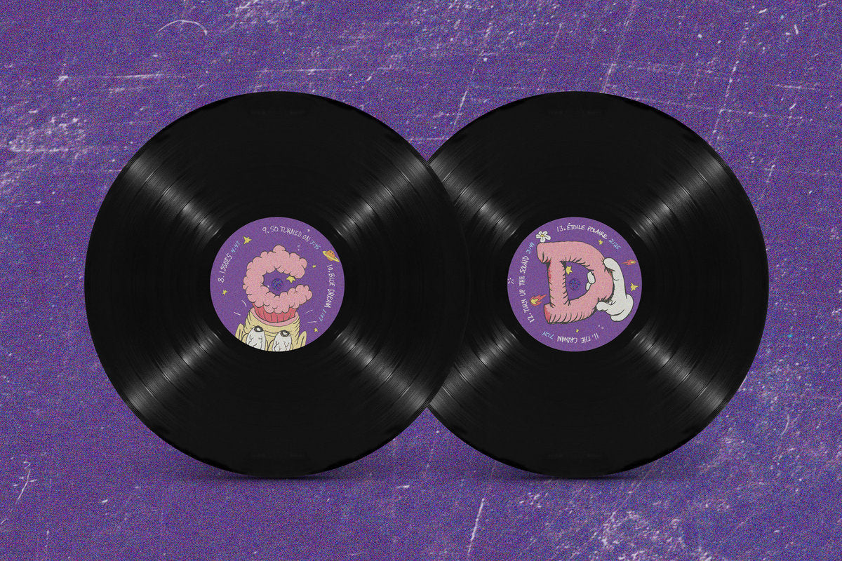 The Brooks - Any Day Now (double vinyle)